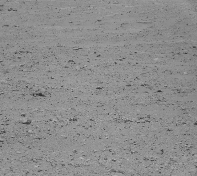 Sol 388: Mast Camera (Mastcam)