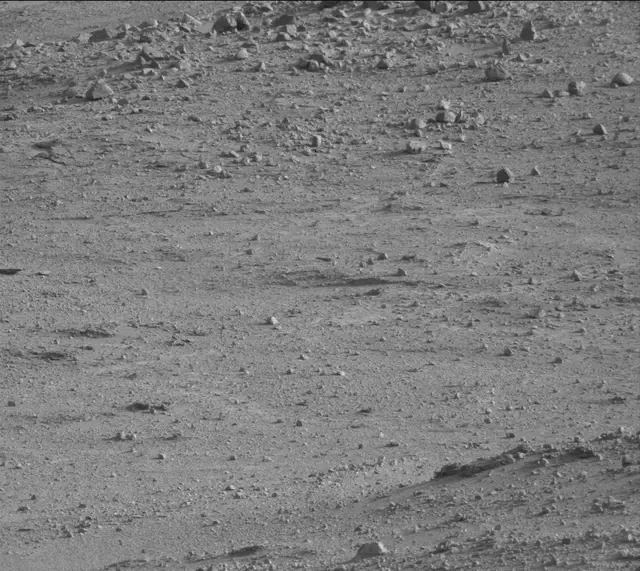 Sol 388: Mast Camera (Mastcam)