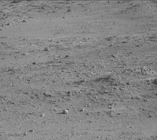 Sol 388: Mast Camera (Mastcam)