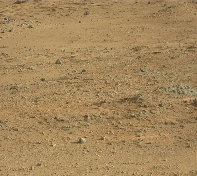 Sol 388: Mast Camera (Mastcam)