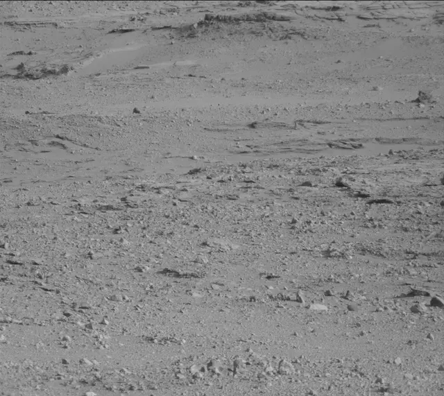 Sol 388: Mast Camera (Mastcam)