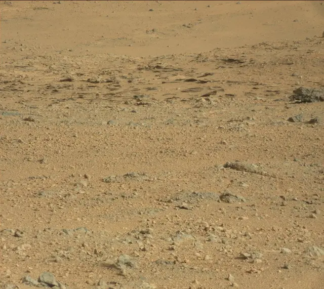 Sol 388: Mast Camera (Mastcam)
