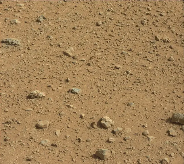 Sol 389: Mast Camera (Mastcam)