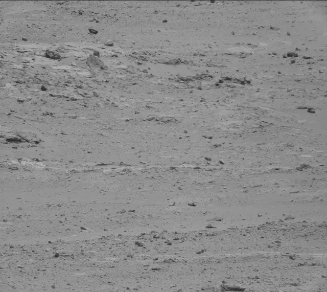 Sol 389: Mast Camera (Mastcam)