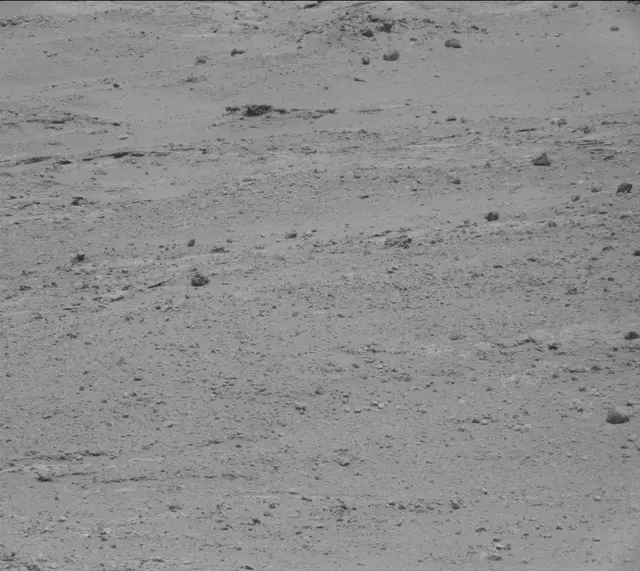 Sol 389: Mast Camera (Mastcam)