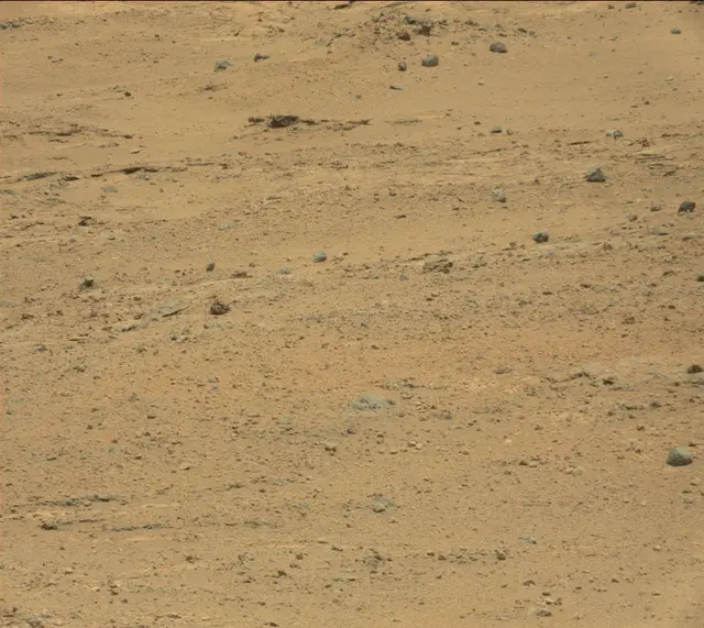 Sol 389: Mast Camera (Mastcam)