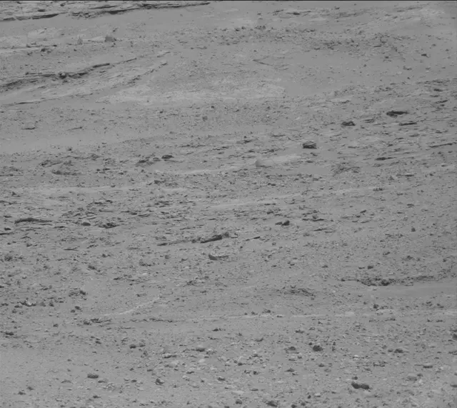 Sol 389: Mast Camera (Mastcam)