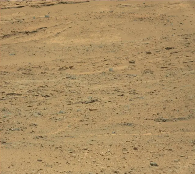 Sol 389: Mast Camera (Mastcam)