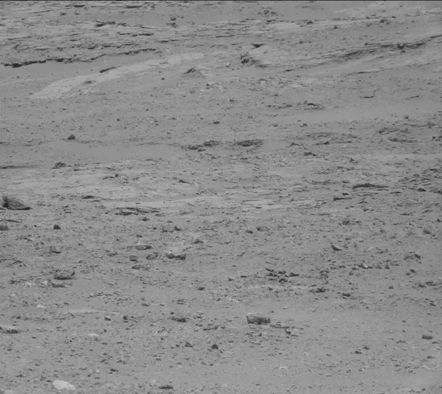 Sol 389: Mast Camera (Mastcam)