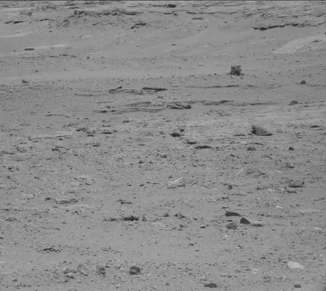 Sol 389: Mast Camera (Mastcam)