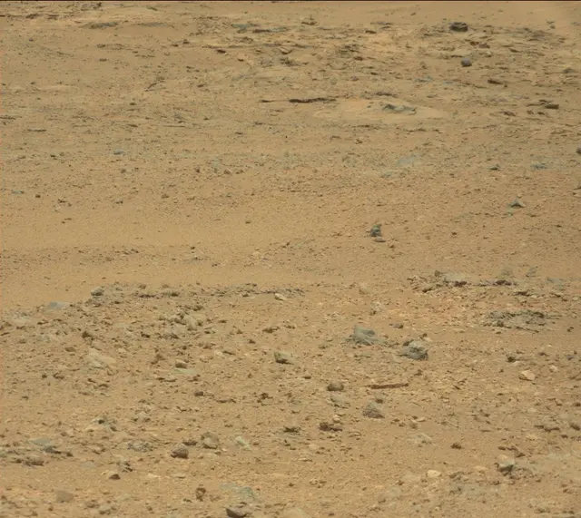 Sol 389: Mast Camera (Mastcam)