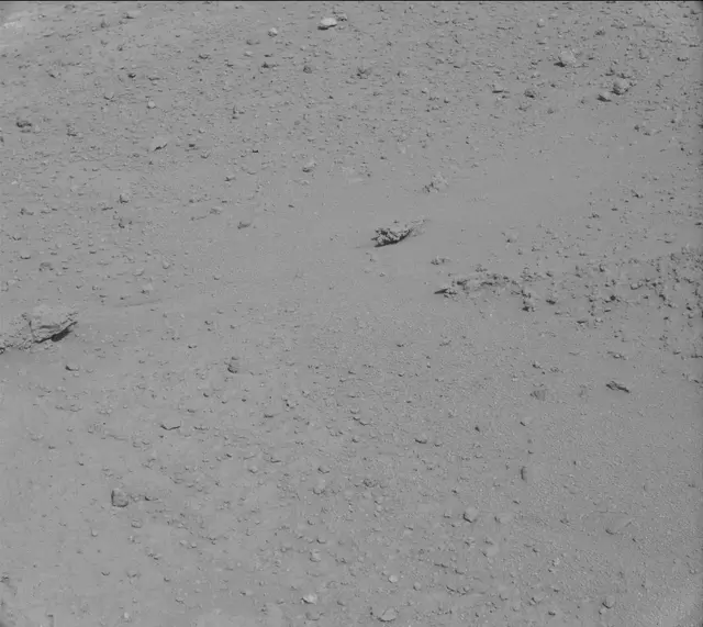 Sol 390: Mast Camera (Mastcam)