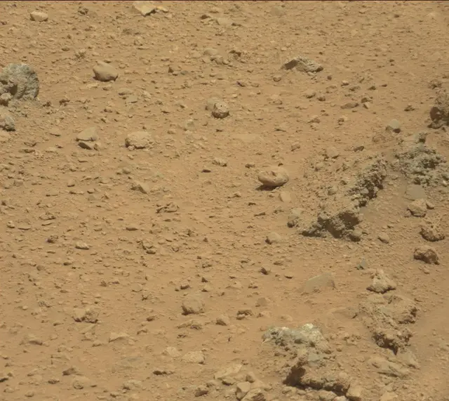 Sol 390: Mast Camera (Mastcam)