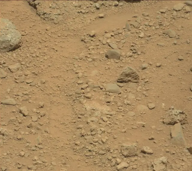 Sol 390: Mast Camera (Mastcam)