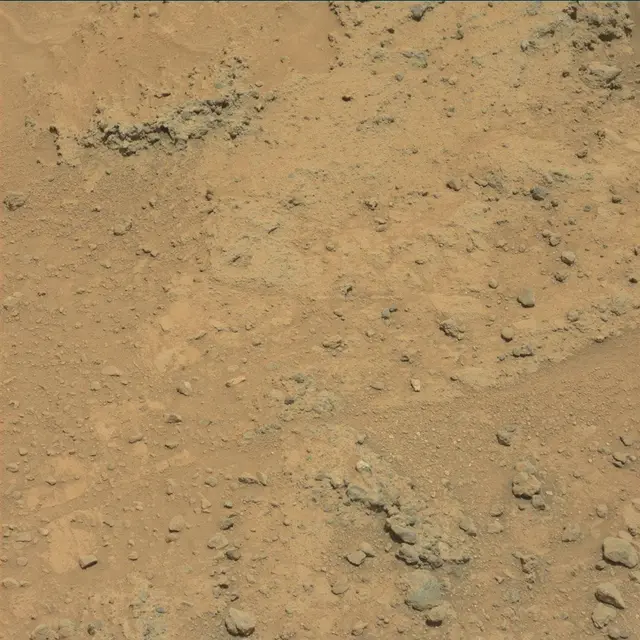 Sol 391: Mast Camera (Mastcam)