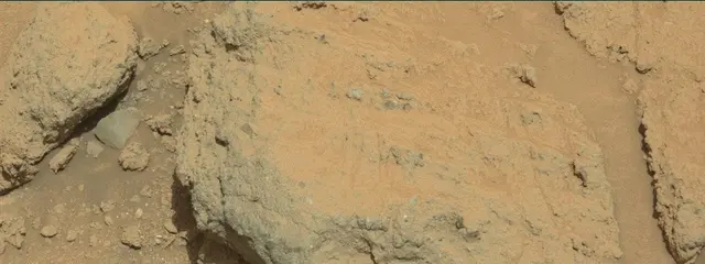 Sol 392: Mast Camera (Mastcam)
