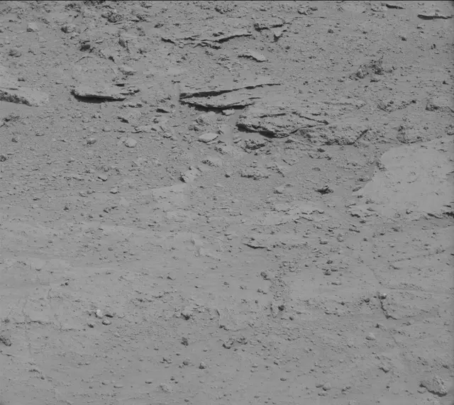 Sol 392: Mast Camera (Mastcam)