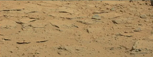 Sol 395: Mast Camera (Mastcam)