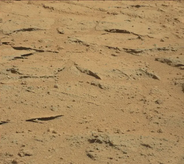 Sol 395: Mast Camera (Mastcam)