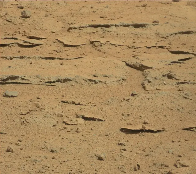Sol 395: Mast Camera (Mastcam)