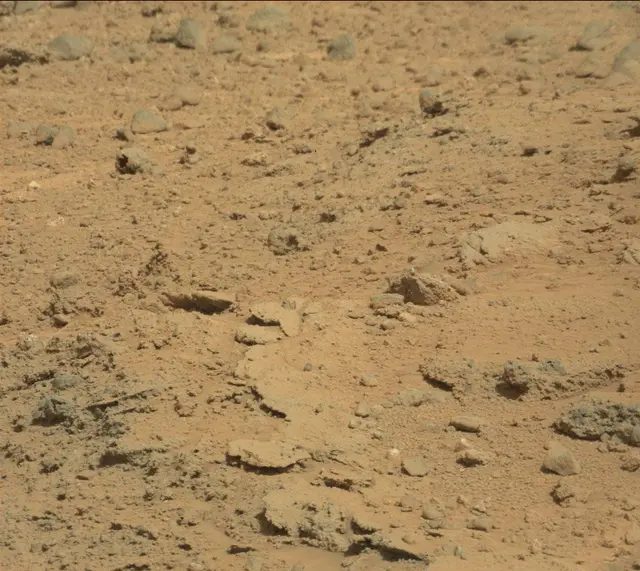 Sol 395: Mast Camera (Mastcam)
