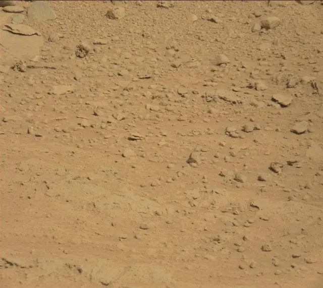 Sol 395: Mast Camera (Mastcam)