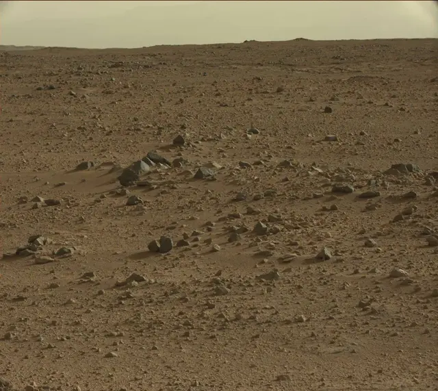 Sol 409: Mast Camera (Mastcam)