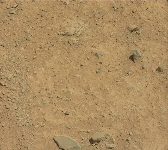 Sol 424: Mast Camera (Mastcam)