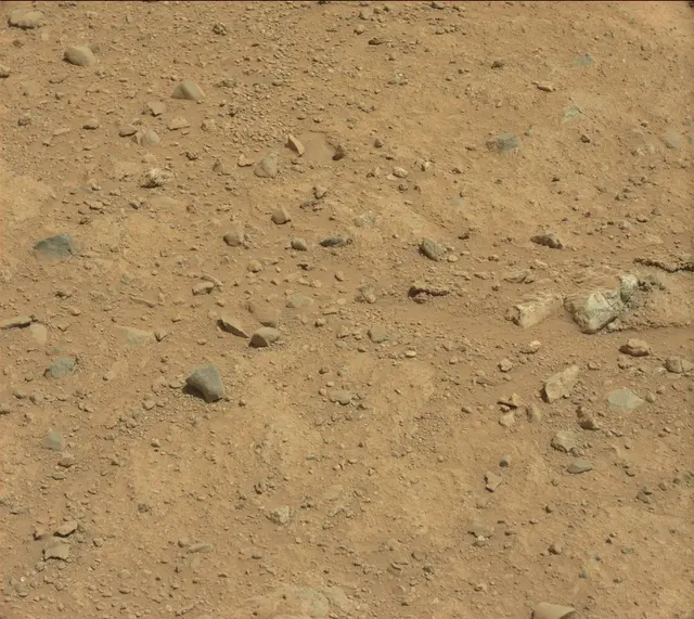 Sol 424: Mast Camera (Mastcam)