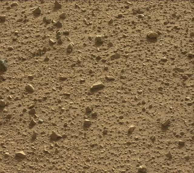 Sol 424: Mast Camera (Mastcam)