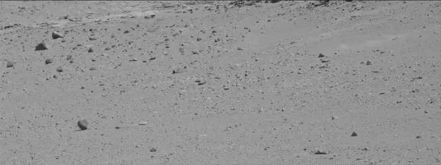 Sol 486: Mast Camera (Mastcam)