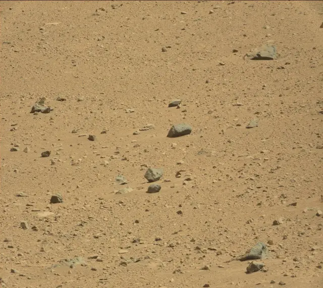 Sol 486: Mast Camera (Mastcam)