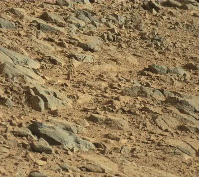 Sol 486: Mast Camera (Mastcam)