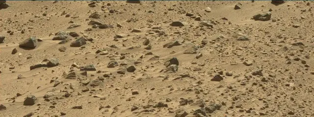Sol 487: Mast Camera (Mastcam)