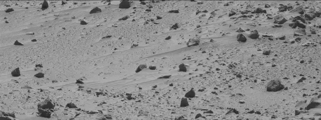 Sol 487: Mast Camera (Mastcam)