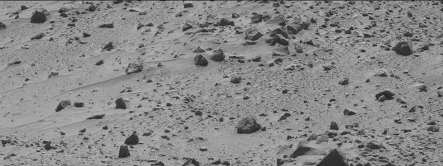 Sol 487: Mast Camera (Mastcam)