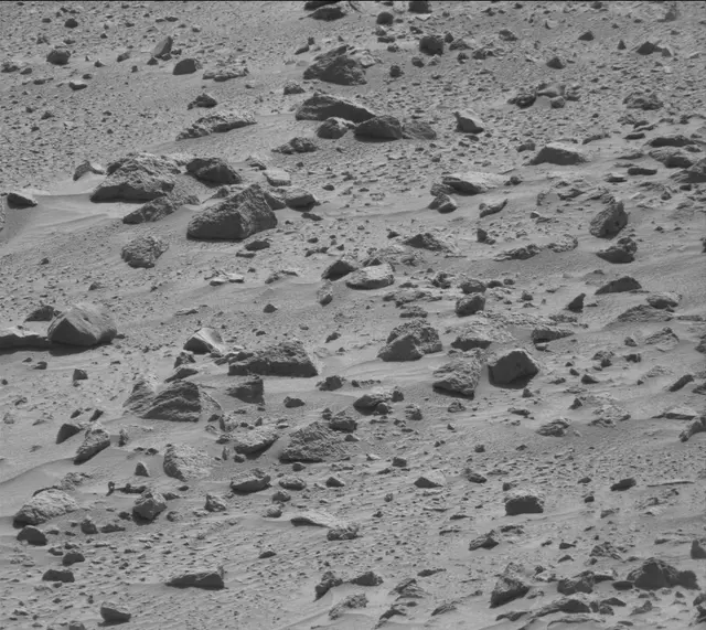 Sol 487: Mast Camera (Mastcam)