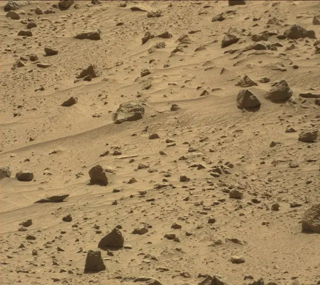 Sol 487: Mast Camera (Mastcam)