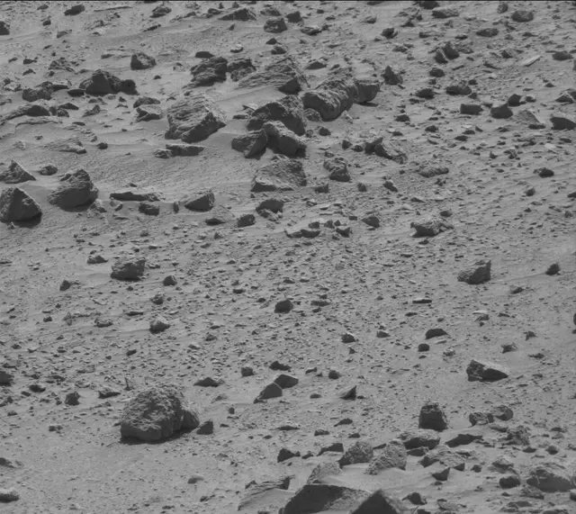 Sol 487: Mast Camera (Mastcam)