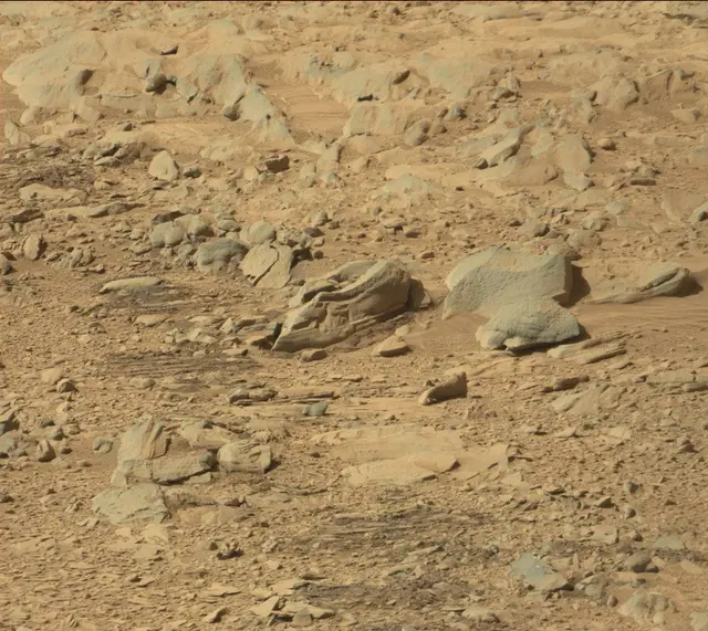 Sol 487: Mast Camera (Mastcam)