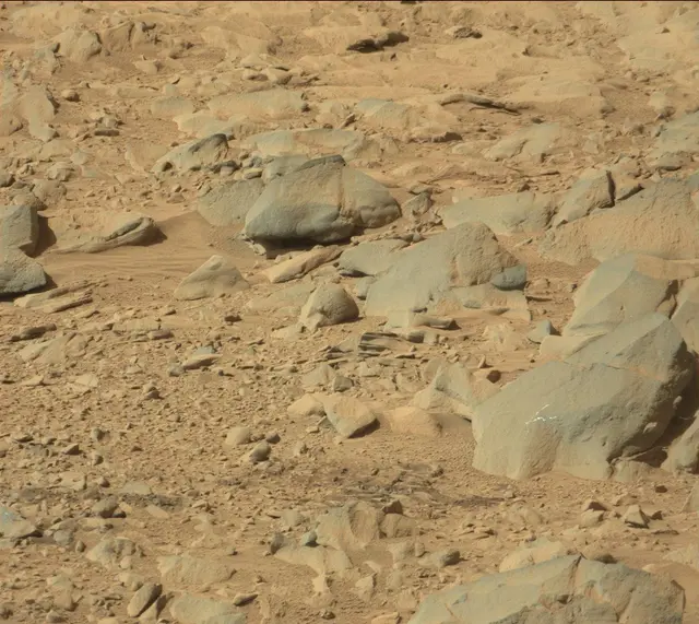 Sol 487: Mast Camera (Mastcam)