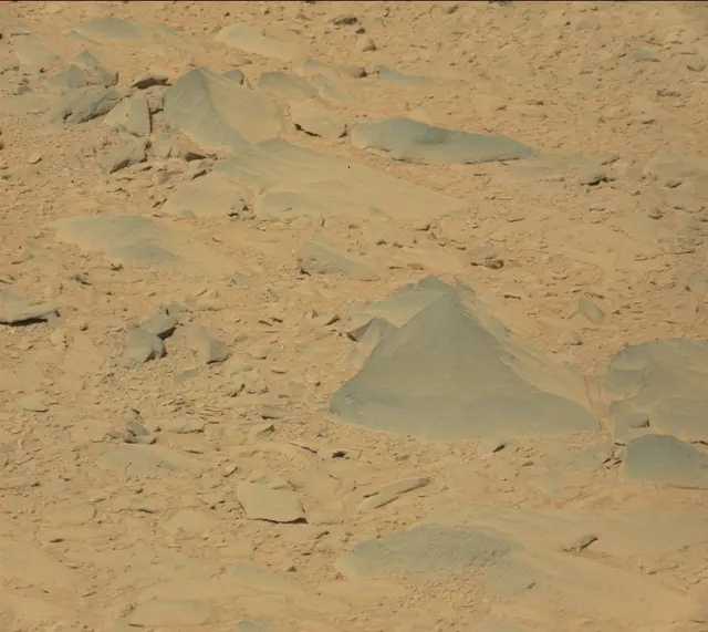 Sol 487: Mast Camera (Mastcam)