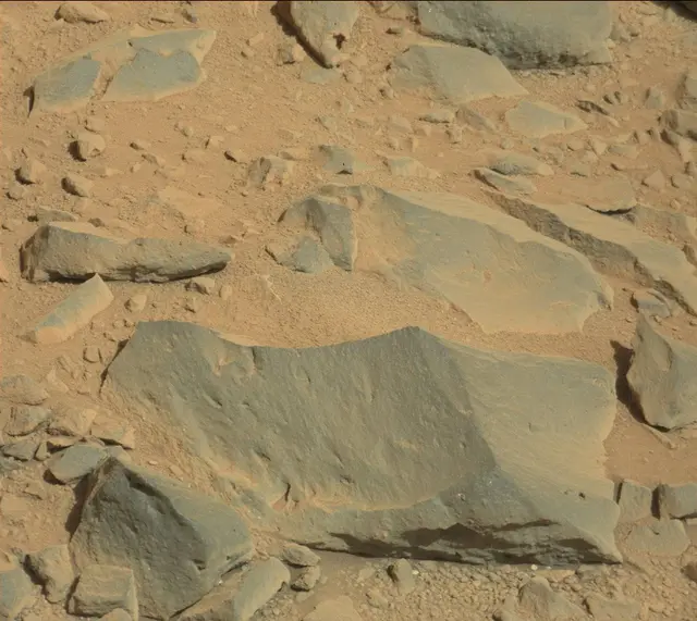 Sol 487: Mast Camera (Mastcam)