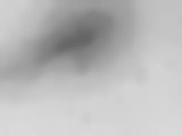 Sol 487: Mars Hand Lens Imager (MAHLI)