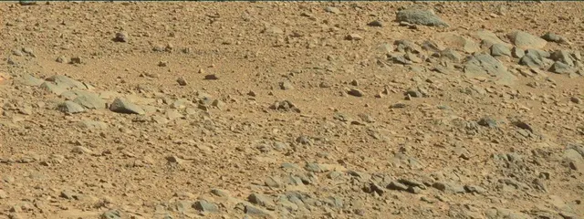 Sol 488: Mast Camera (Mastcam)