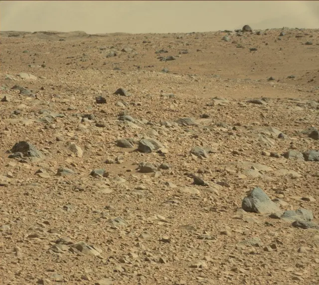 Sol 488: Mast Camera (Mastcam)