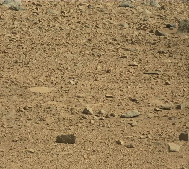 Sol 488: Mast Camera (Mastcam)