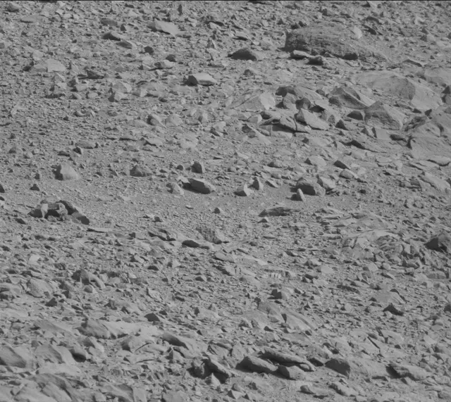 Sol 488: Mast Camera (Mastcam)