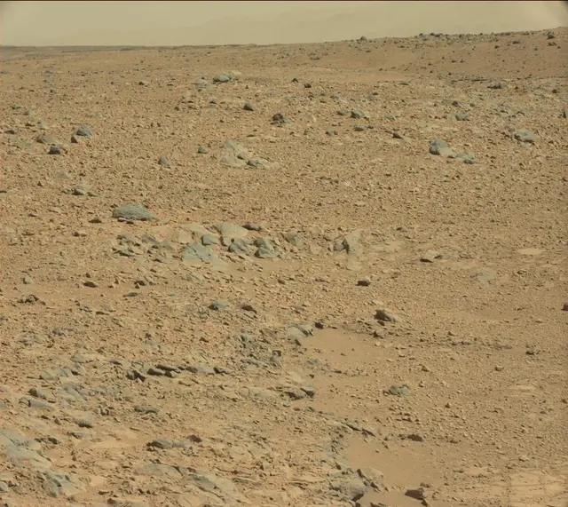 Sol 490: Mast Camera (Mastcam)