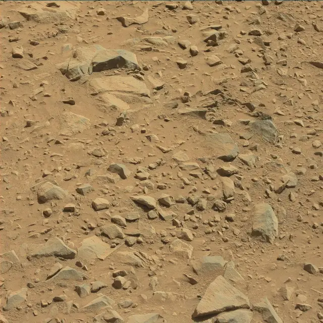 Sol 491: Mast Camera (Mastcam)